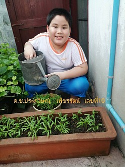Gardening vegetables in Career subject for grade 3